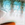 0001_Spro_Fat_Iris_60_[Herring].jpg